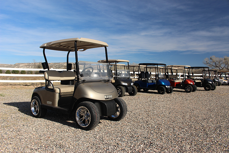 2014 EZGO RXV’s Golf Cart – Almond Pearl